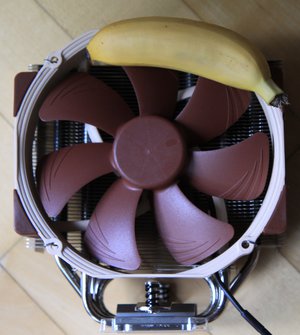 fan banana